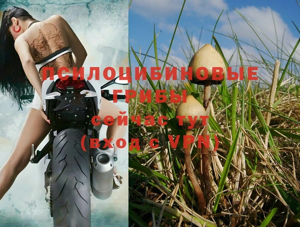 а пвп мука Россошь