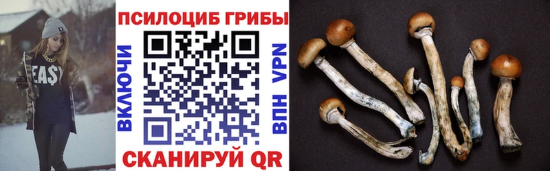 Купить где  Льгов  Псилоцибиновые грибы прущие грибы 
